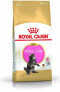 Фото #1 товара Royal Canin Maine Coon Kitten karma sucha dla kociat, do 15 miesiaca, rasy maine coon 0.4kg