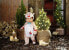 Фото #6 товара Zapf Creation 831700 BABY Born Reindeer Onesie 43 cm Doll Clothes Onesie with Reindeer Antlers and Gloves