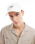 Dickies hardwick baseball cap in off white