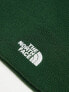 The North Face Norm beanie in pine green