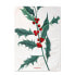 Кухонное полотенце HappyFriday Xmas Mistletoe Разноцветный 70 x 50 cm (2 штук)