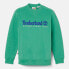 Фото #3 товара TIMBERLAND Est. 1973 sweatshirt