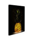 Wieteke De Kogel 'Pineapple' Canvas Art - 24" x 16" x 2"