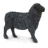 Фото #2 товара SAFARI LTD Black Sheep Figure