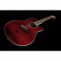 Ovation Celebrity Tradition CS-24-RR-G