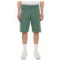 Фото #1 товара DICKIES Duck Canvas shorts