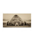 Фото #1 товара PH Burchett Deep Sleep Canvas Art - 37" x 49"