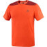 SALOMON Outline short sleeve T-shirt Fiery Red / Cabernet, L - фото #1