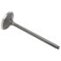 KIBBLEWHITE 96-96004 Intake Valve