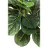 Deko Pflanze Fiddle Leaf