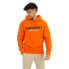 SUPERDRY Sportswear Logo Loose hoodie