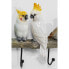 Wandgarderobe Exotic Birds