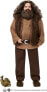 Фото #1 товара Harry Potter Rubeus Hagrid GKT94 Doll, Toy for Ages 6 and Above