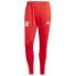 Фото #1 товара adidas FC Bayern Training Panty M IQ0605