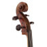 Фото #11 товара Gewa Allegro VC1 A Cello 4/4