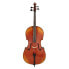 Gewa Allegro VC1 A Cello 4/4