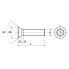 Фото #2 товара EUROMARINE ISO 14581 A4 M4x30 mm Countersunk Head Torx Screw 25 Units