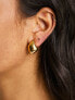 ASOS DESIGN 14k gold plated earrings with molten stud design