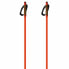 FISCHER Storm GTX S Poles Оранжевый, 170 см - фото #1