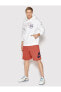 Фото #4 товара Sportswear Sport Essentials French Terry Alumni Erkek Şort