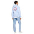 TOMMY JEANS Reg 3D Street Tj Hood Ext hoodie