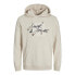 JACK & JONES Zuri hoodie