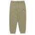 VOLCOM Earth Tripper Pants