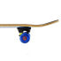 Фото #5 товара Скейтборд Nils Extreme BOY CR3108SB в сине-черной графике