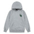 Фото #1 товара LEVI´S ® KIDS Monogram hoodie