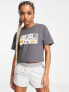 The North Face Leaf Drawing cropped chest print t-shirt in grey Exclusive at ASOS