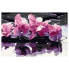 Фото #1 товара Malen nach Zahlen - Violette Orchidee