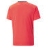 PUMA Teamliga Graphic short sleeve T-shirt