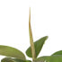 Декоративное растение 116 cm Зеленый PVC Дуб