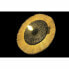 Фото #2 товара Настенный светильник DKD Home Decor Натуральный Чёрный Колониальный Железо 220 V 25 W джут (42 x 9 x 42 cm)