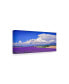 Фото #2 товара Michael Blanchette Photography 'Cloud Bank Over Lavender Panorama' Canvas Art - 32" x 14"