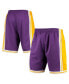 Men's Purple Los Angeles Lakers 1984 Hardwood Classics 75th Anniversary Swingman Shorts