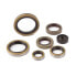 Фото #1 товара S3 PARTS VE-G822976 top end gasket kit