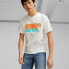 Фото #3 товара Puma Graffiti Tee M 622513 02