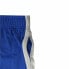 Фото #3 товара Спортивные мужские шорты Nike Slam Синий
