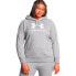 Фото #1 товара UNDER ARMOUR Rival Fleece Logo hoodie