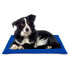 ფოტო #2 პროდუქტის NAYECO 50x90 cm Refreshing Gel Pet Mat