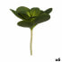 Декоративное растение Листья Круглая Пластик 18 x 23 x 18 cm (6 штук)