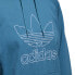 Фото #4 товара [CE4864] Womens Adidas Signature Hoodie