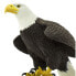 Фото #5 товара SAFARI LTD Bald Eagle Figure