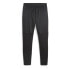 Фото #2 товара PUMA Valencia CF 23/24 Pants