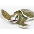 SAFARI LTD Kemps Ridley Sea Turtle Baby Figure