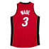 Фото #2 товара MITCHELL & NESS NBA ALTERNATE FINALS JERSEY MIAMI HEAT 2005 DWYANE WADE