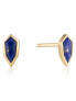 ANIA HAIE Ear Studs Second Nature E042-01G-L