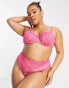 Фото #4 товара Ivory Rose Curve bold floral lace balconette bra in hot pink