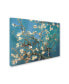 Vincent van Gogh 'Almond Blossoms' Canvas Art - 14" x 19"